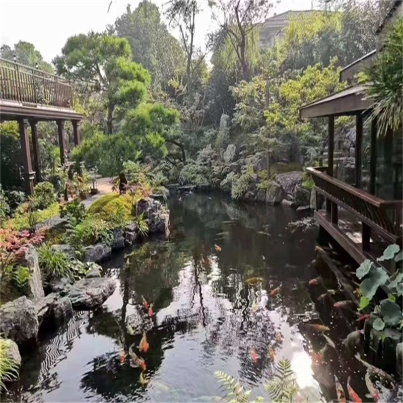 莲池庭院假山鱼池样式